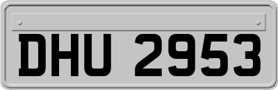 DHU2953