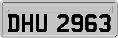 DHU2963