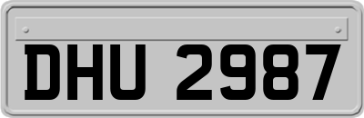 DHU2987