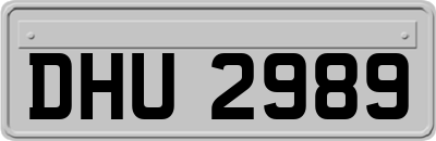 DHU2989