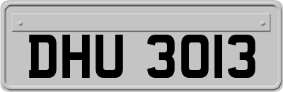 DHU3013