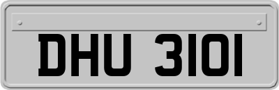 DHU3101