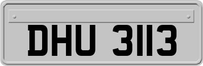 DHU3113