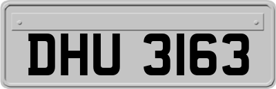 DHU3163