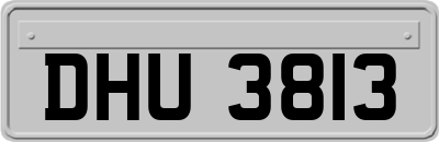 DHU3813