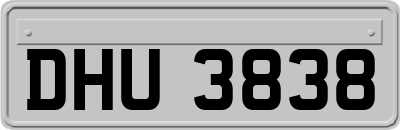 DHU3838