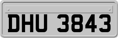 DHU3843