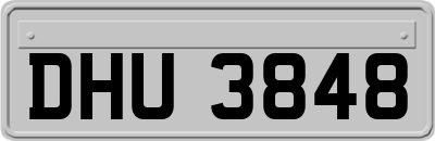 DHU3848