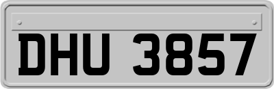 DHU3857