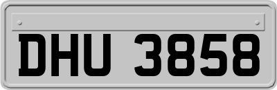 DHU3858