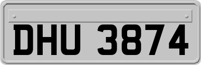DHU3874