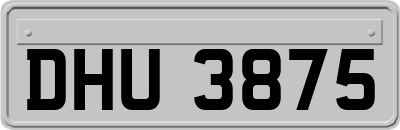 DHU3875