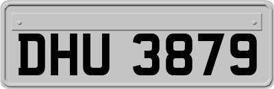 DHU3879