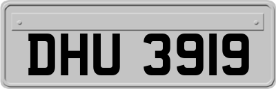 DHU3919