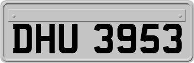 DHU3953