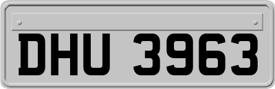 DHU3963