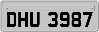 DHU3987