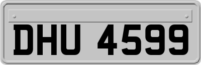 DHU4599