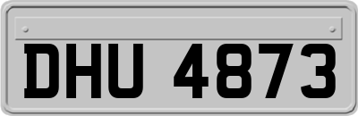 DHU4873