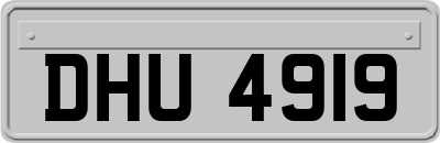 DHU4919