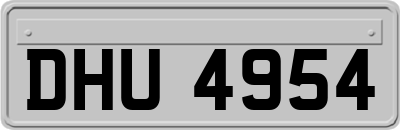 DHU4954
