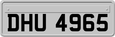 DHU4965