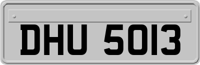 DHU5013