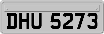 DHU5273