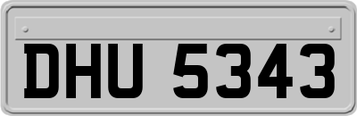 DHU5343