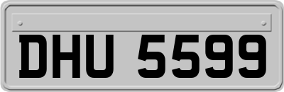 DHU5599