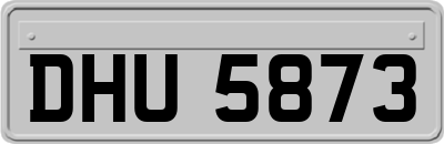 DHU5873