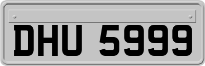 DHU5999