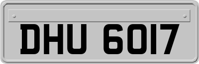 DHU6017