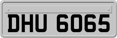 DHU6065