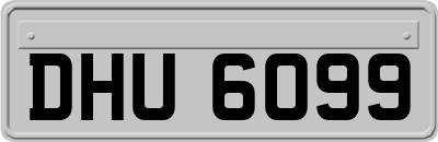 DHU6099