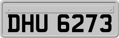 DHU6273