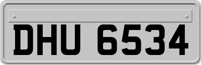 DHU6534