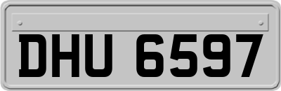 DHU6597