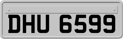 DHU6599
