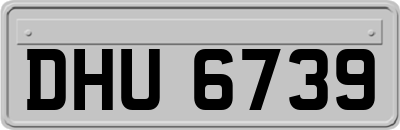 DHU6739