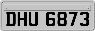 DHU6873