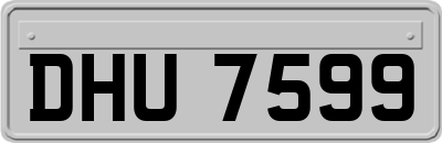 DHU7599