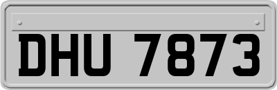 DHU7873