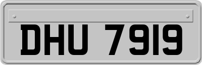 DHU7919