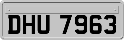 DHU7963