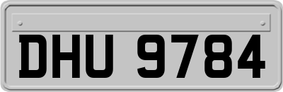 DHU9784