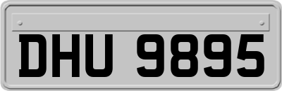 DHU9895