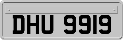DHU9919