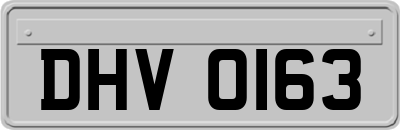 DHV0163