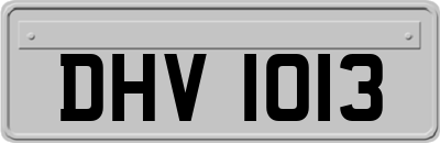 DHV1013